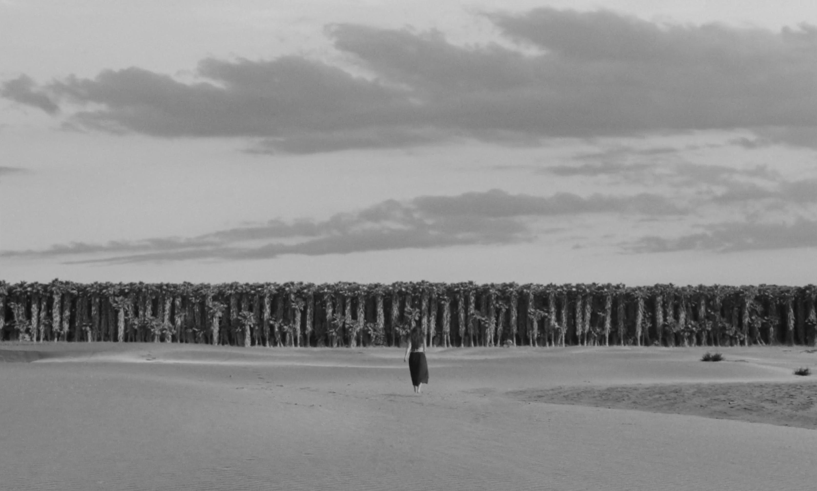 mujer en una playa