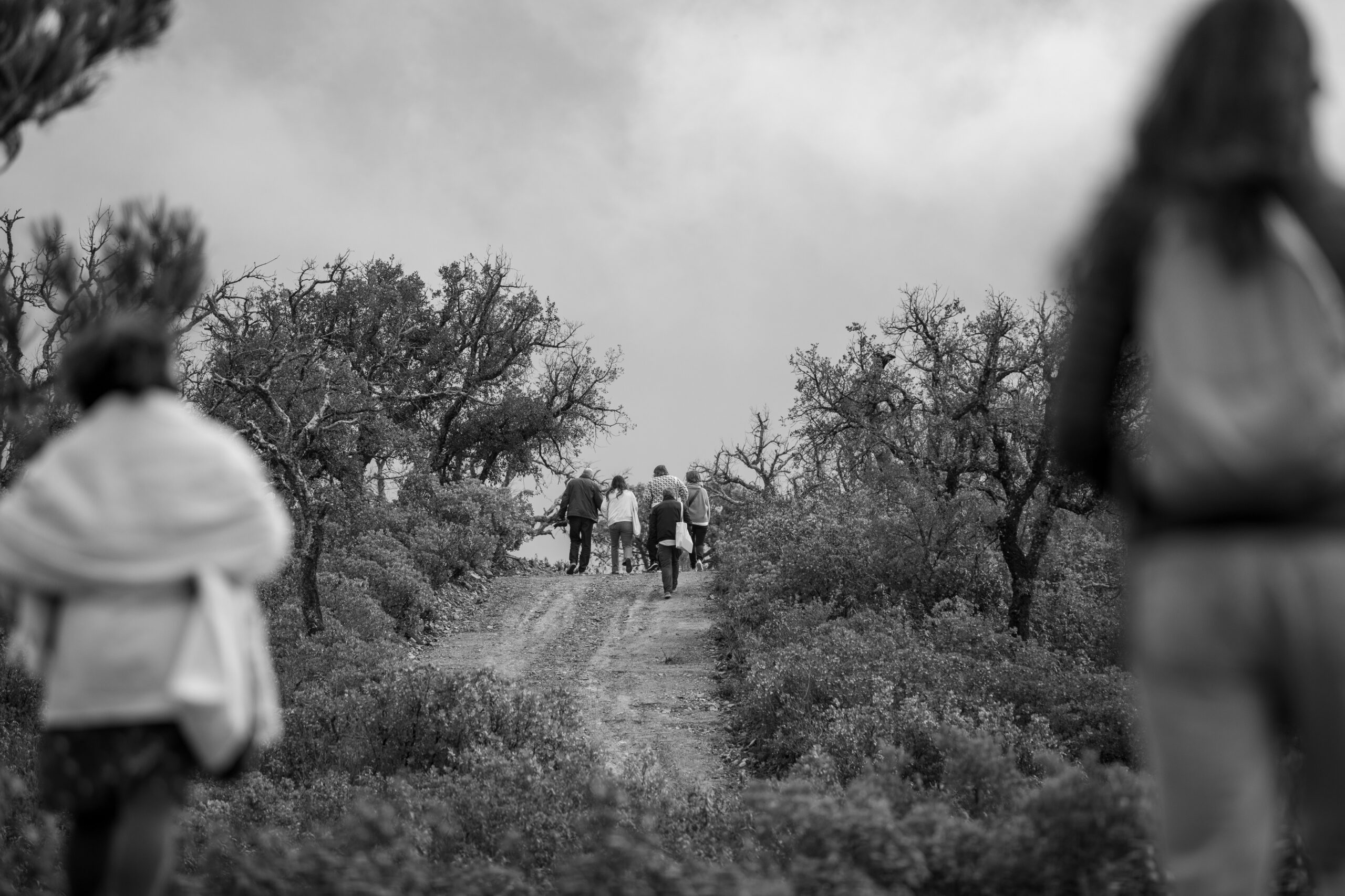 gente en la montaña